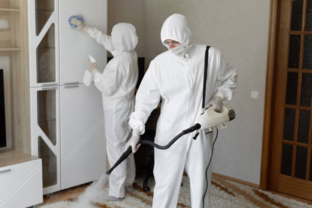 24/7 Emergency Odor Removal experts in Morton, IL