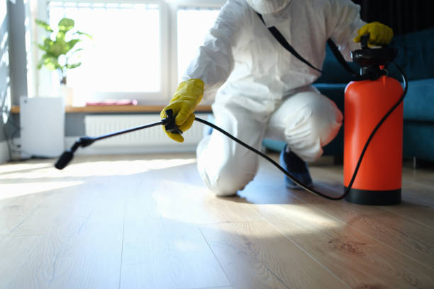 Reliable Odor Removal contractor in Morton, IL by Trauma Clean Pros